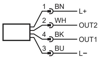 IFM LDL210 - Conexión eléctrica - 3