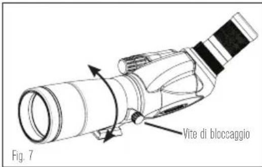 CELESTRON TrailSeeker 52335 - PARALUCE - 2