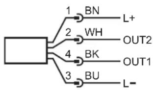 graph TD A["Input"] -->|1| B["BN"] A -->|2| C["WH"] A -->|4| D["BK"] A -->|3| E["BU"] B --> F["L+"] C --> G["OUT2"] D --> H["OUT1"] E --> I["L-"]
