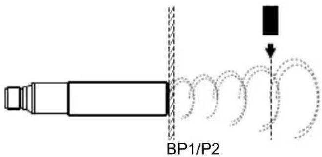 BP1/P2