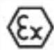 IFM EVC13A - IECEx BVS 08.0041 U - 1