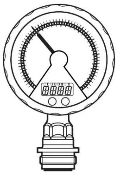 IFM PG2794 - 1