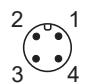 IFM LK3122 - Elektriksel bağlantı - 1