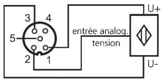 IFM AC2516 - Mesure de tension AC2517 - 3
