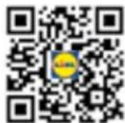Rocktrail IAN 398605 - Abbau - 1
