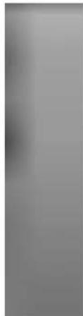 LG DR4810PVL - Langue Disque - 2