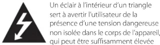 Un éclair à l'intérieur d'un triangle sert à avertir l'utilisateur de la présence d'une tension dangereuse non isolée dans le corps de l'appareil, qui peut être suffisamment élevée