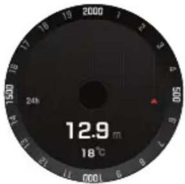 LG LMW315 - Altimeter - 1