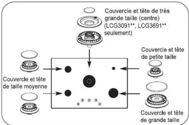 LG LCG3091ST - REMISE EN PLACE - 1