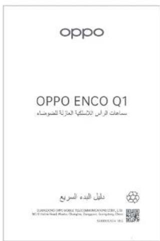 OPPO Enco Q1 - 2