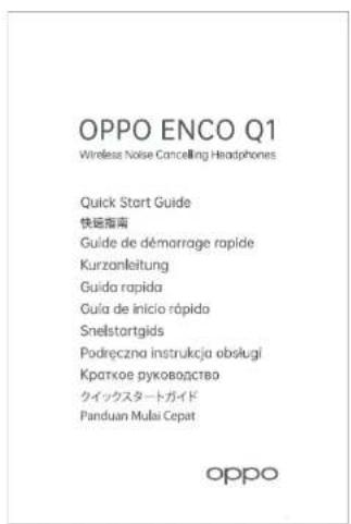 OPPO Enco Q1 - 1