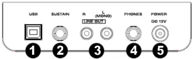 ALESIS Recital - Panel trasero - 1