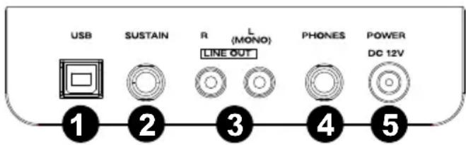 ALESIS Recital - Pannello posteriore - 1