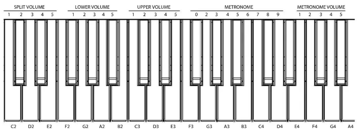 ALESIS Recital - Funzioni avanzate - 2