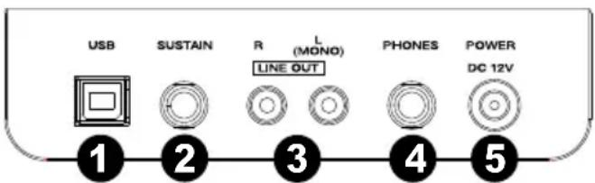 ALESIS Recital - Rear Panel - 1