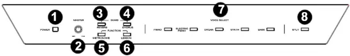 ALESIS Recital - Panneau supérieur - 1