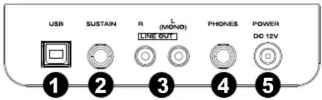 ALESIS Recital - Panneau arrière - 1