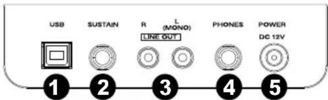 ALESIS Recital - Unterseite - 1