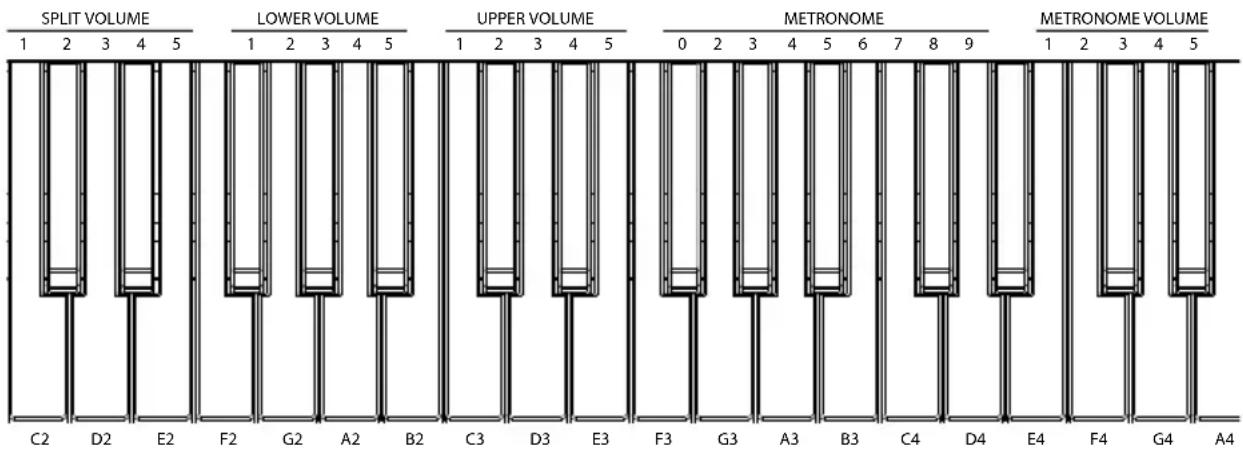ALESIS Recital - Fonctions évoluées - 2