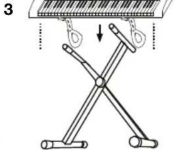 ALESIS Talent 61 - Sopporte - 3