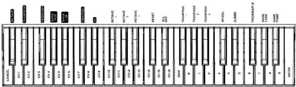 ALESIS Q49 MKII - Rear Panel - 2