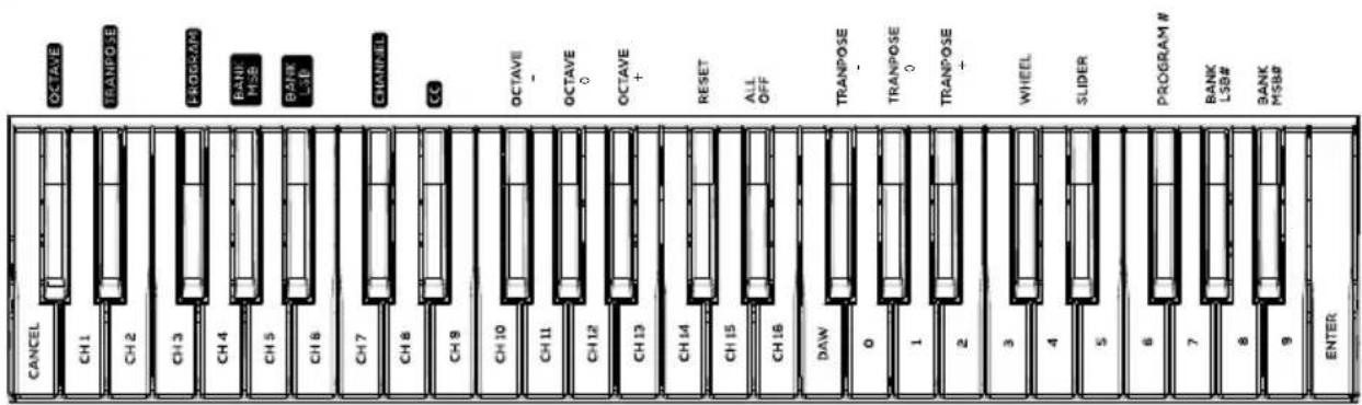 ALESIS Q49 MKII - Pannello posteriore - 2