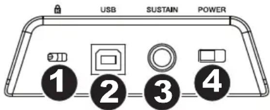 ALESIS Q49 MKII - Rear Panel - 1