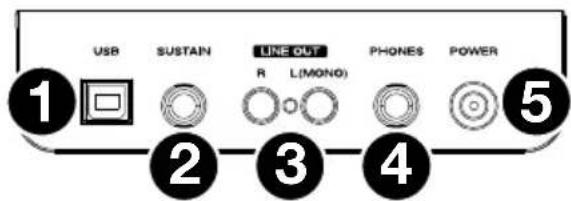 ALESIS Recital 61 - Panneau inférieur - 1