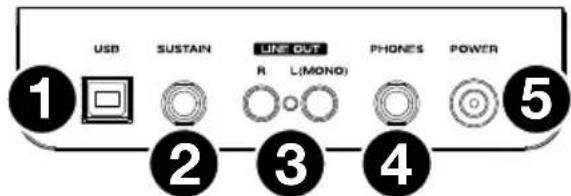 ALESIS Recital 61 - Pannello posteriore - 1