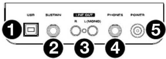 ALESIS Recital 61 - Rückseite - 1