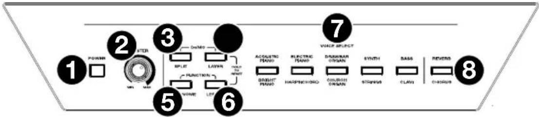 ALESIS Recital 61 - Oberseite - 1