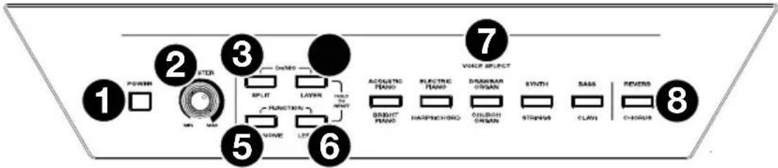 ALESIS Recital 61 - Top Panel - 1