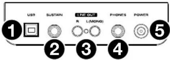 ALESIS Recital 61 - Panel inferior - 1