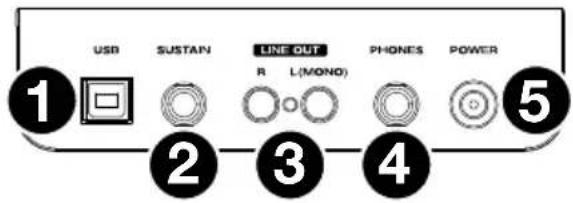 ALESIS Recital 61 - Bottom Panel - 1