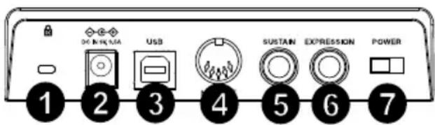 ALESIS Q88 MKII - Rear Panel - 1
