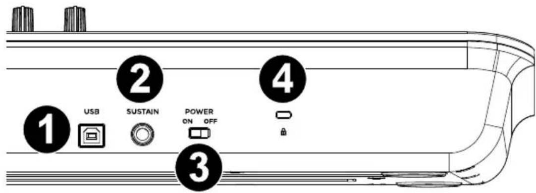 ALESIS V61 MKII - Rear Panel - 1