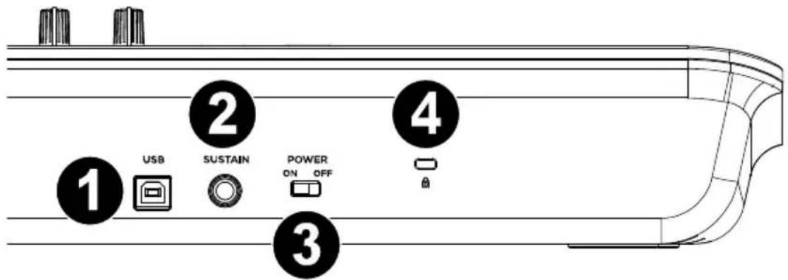 ALESIS V49 MKII - Rear Panel - 1