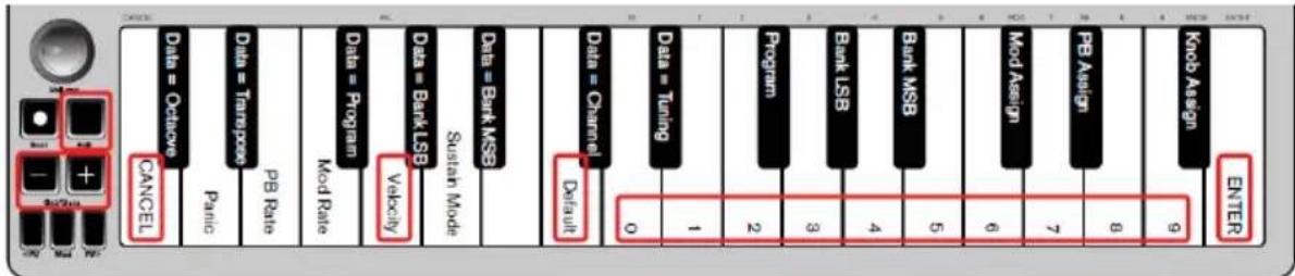 ALESIS Q Mini - Per selezionare una nuova curva di velocity: - 1