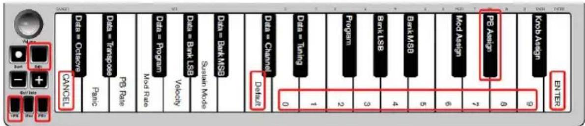 ALESIS Q Mini - Pulsanti Pitch Bend - 1