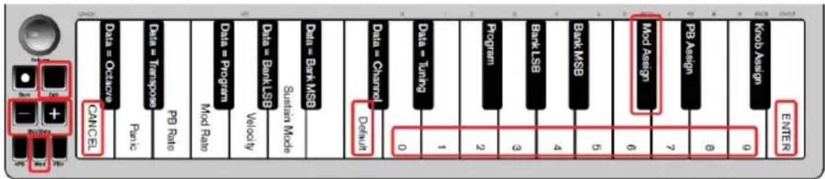 ALESIS Q Mini - Modulations-Taster - 1