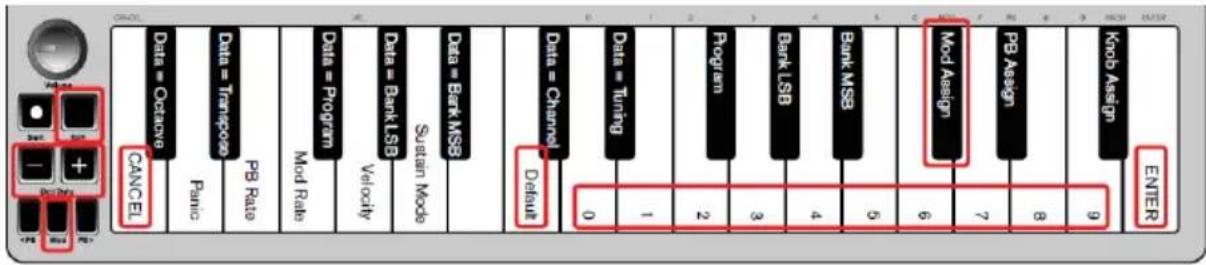 ALESIS Q Mini - Bouton de modulation - 1