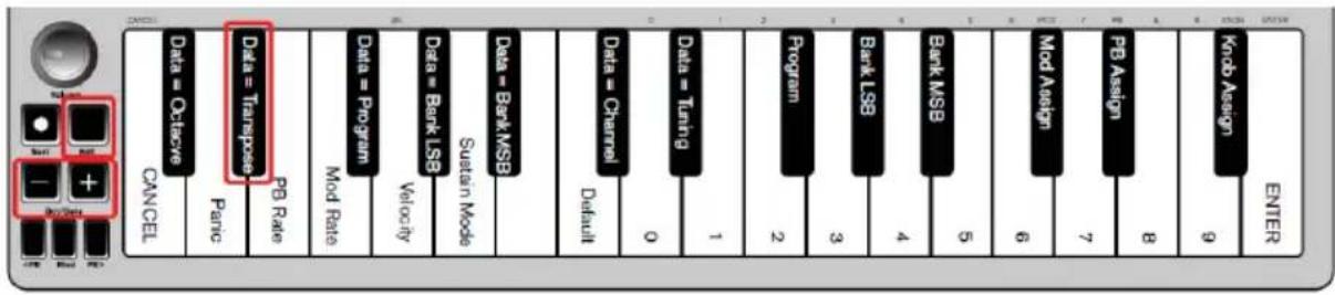 ALESIS Q Mini - Transpose - 1