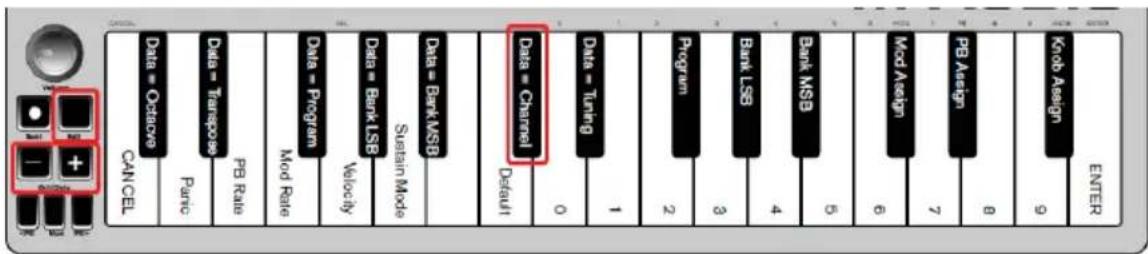 ALESIS Q Mini - Kanal - 1