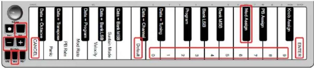 ALESIS Q Mini - Botón de modulación - 1