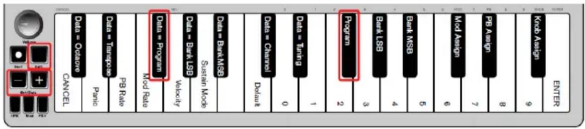 ALESIS Q Mini - Programmwechsel - 1