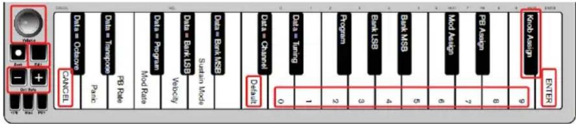 ALESIS Q Mini - Para volver a la configuración predeterminada: - 1
