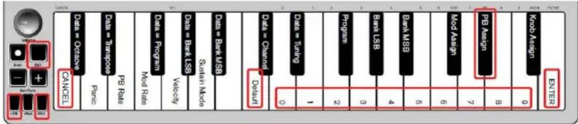 ALESIS Q Mini - Pitch Bend Buttons - 1