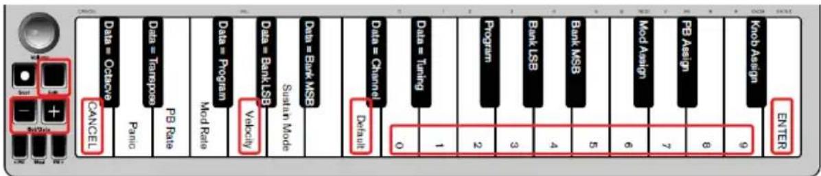 ALESIS Q Mini - Vélocité - 1