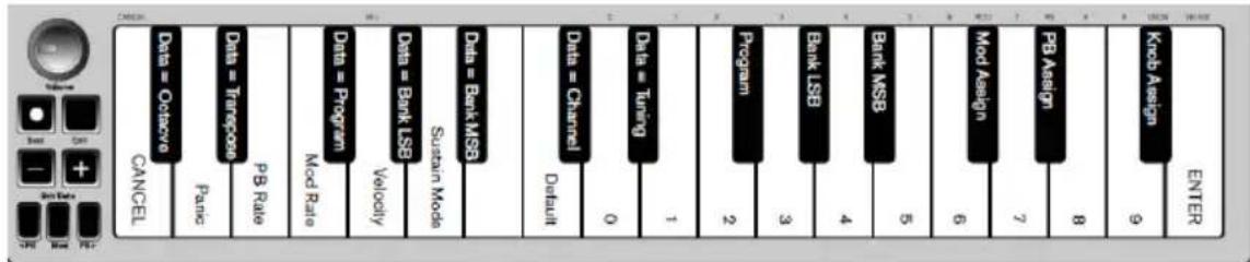 ALESIS Q Mini - Plateau de clavier - 1