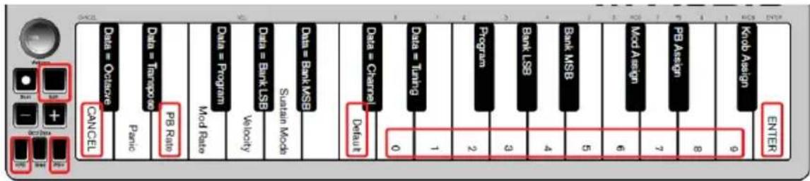 ALESIS Q Mini - Pitchbend-Rate - 1